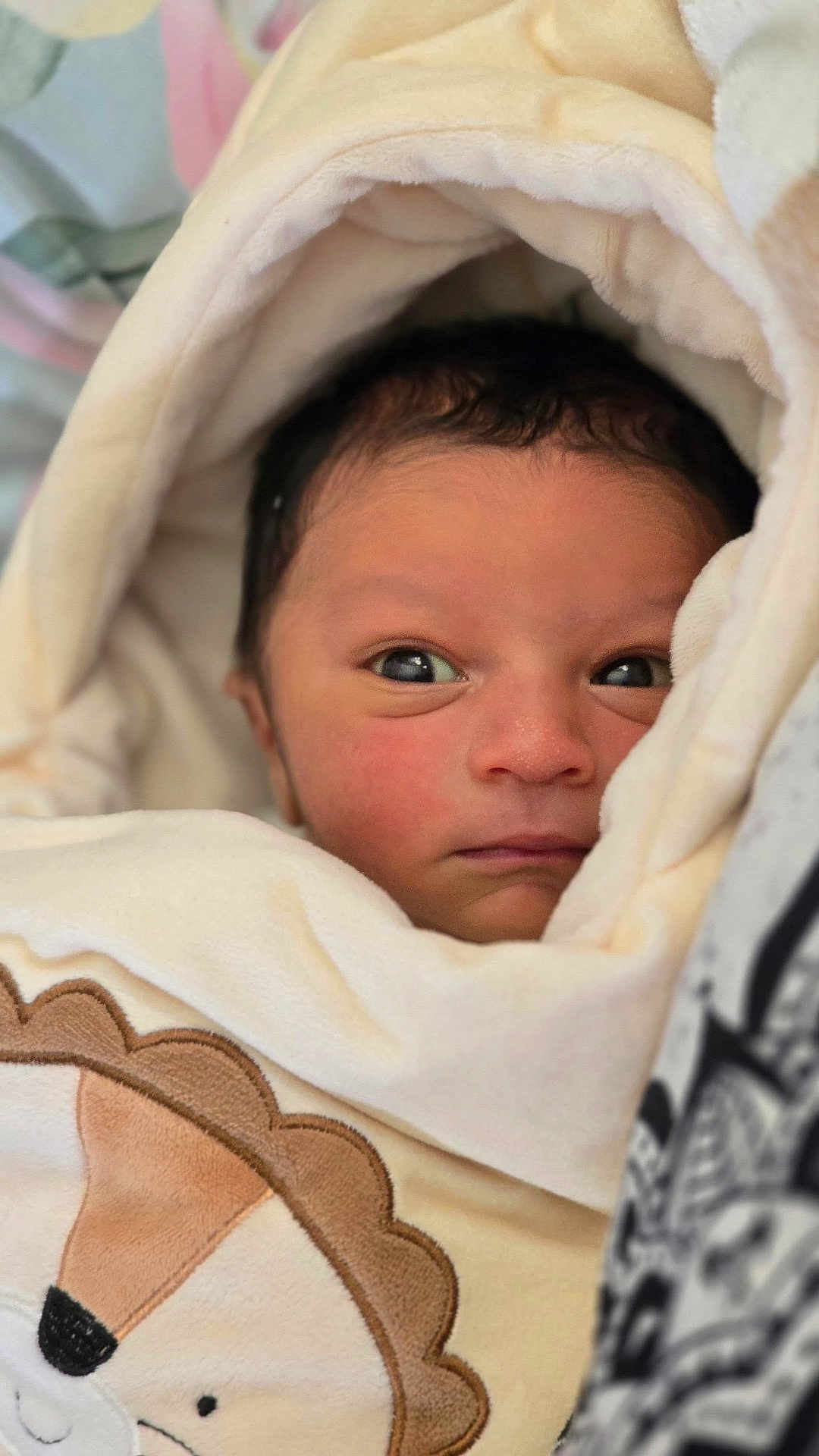 Ibrahim is registered to the contest to win money with this photo: newborn, baby, infant, face, blanket, lion_embroidery, soft, cozy, wrapped, eyes, cute, warm, closeup, child, person, portrait, indoors, young, head, skin