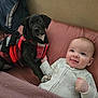 Jasper joined the competition — help win amazing prizes! baby, puppy, dog, infant, couch, blanket, smile, pet, animal, child, clothing, indoor, cute, friendship, lying_down, pink, black_dog, red_jacket, young_child, comfort