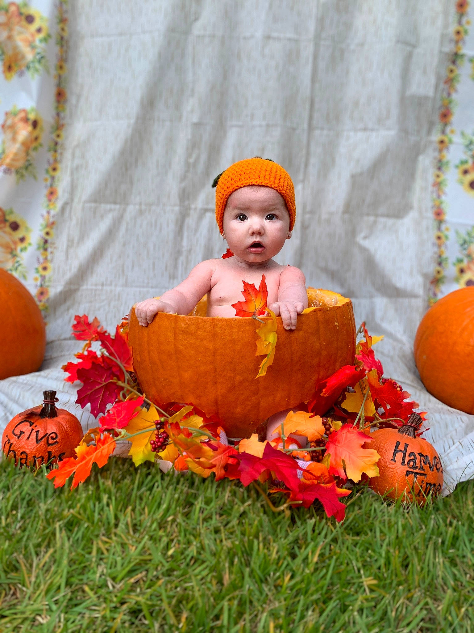 Averi Mae joined the competition — help win amazing prizes! baby, baby_toddler_clothing, calabaza, child, cucurbita, doll, dress, gourd, grass, headwear, natural_foods, orange, person, plant, pumpkin, squash, surprise, toddler, tradition, trick_or_treat