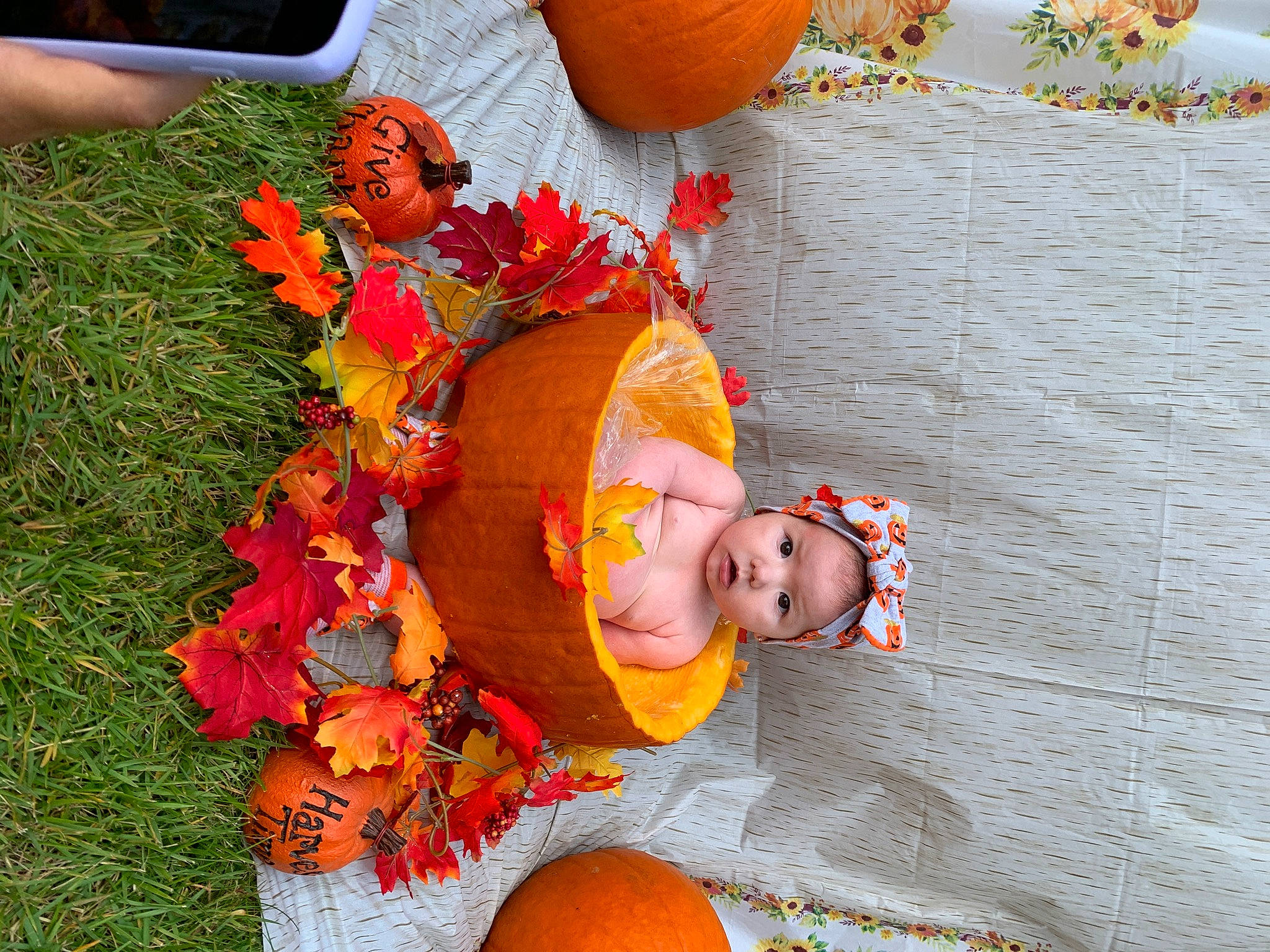 Averi Mae is registered to the contest to win money with this photo: baby, baby_toddler_clothing, calabaza, cucurbita, fun, gourd, grass, head, headwear, houseplant, human_body, natural_foods, orange, person, plant, pumpkin, squash, toddler, trick_or_treat, vegetable