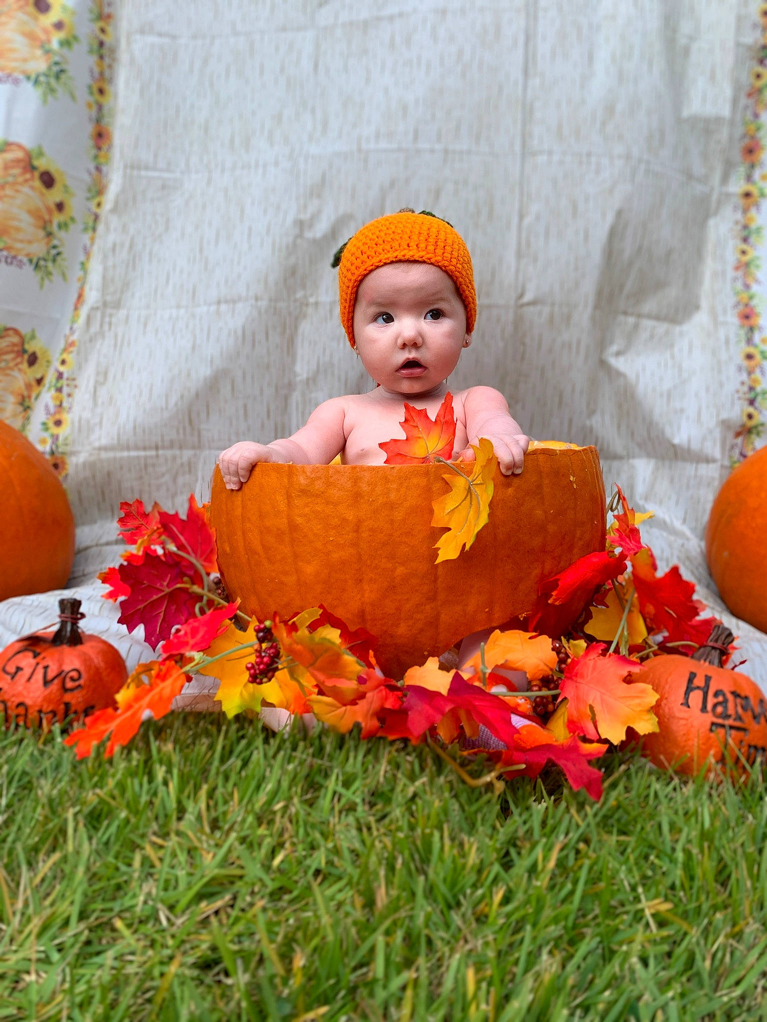Averi Mae is registered to the contest to win money with this photo: baby, baby_toddler_clothing, calabaza, cap, child, cucurbita, eye, gourd, grass, headwear, human_body, orange, person, plant, pumpkin, squash, surprise, toddler, tree, vegetable