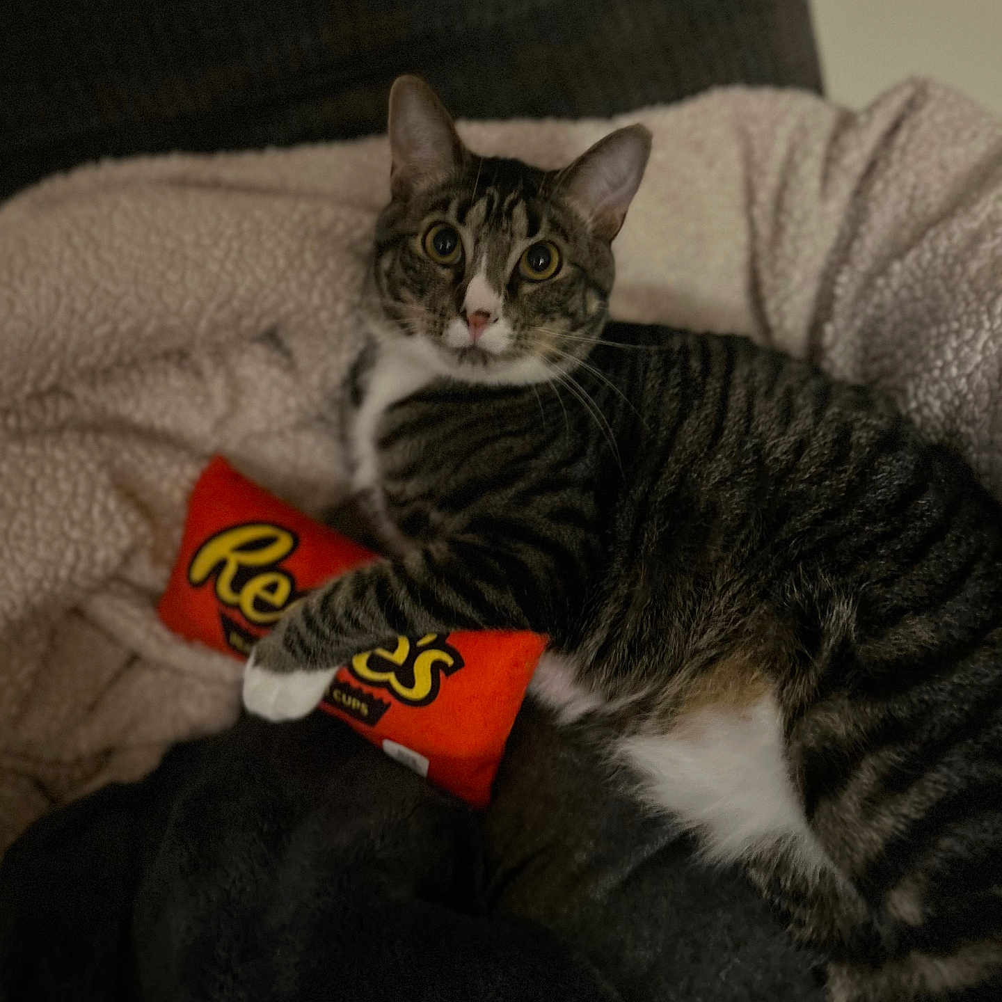 Leo