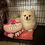 animal, blanket, carpet, cheshire_cat, companion, cozy, crate, cute, dog, fluffy, fur, indoor, metal, nose, pet, pink, plush_toy, resting, smiling_toy, white