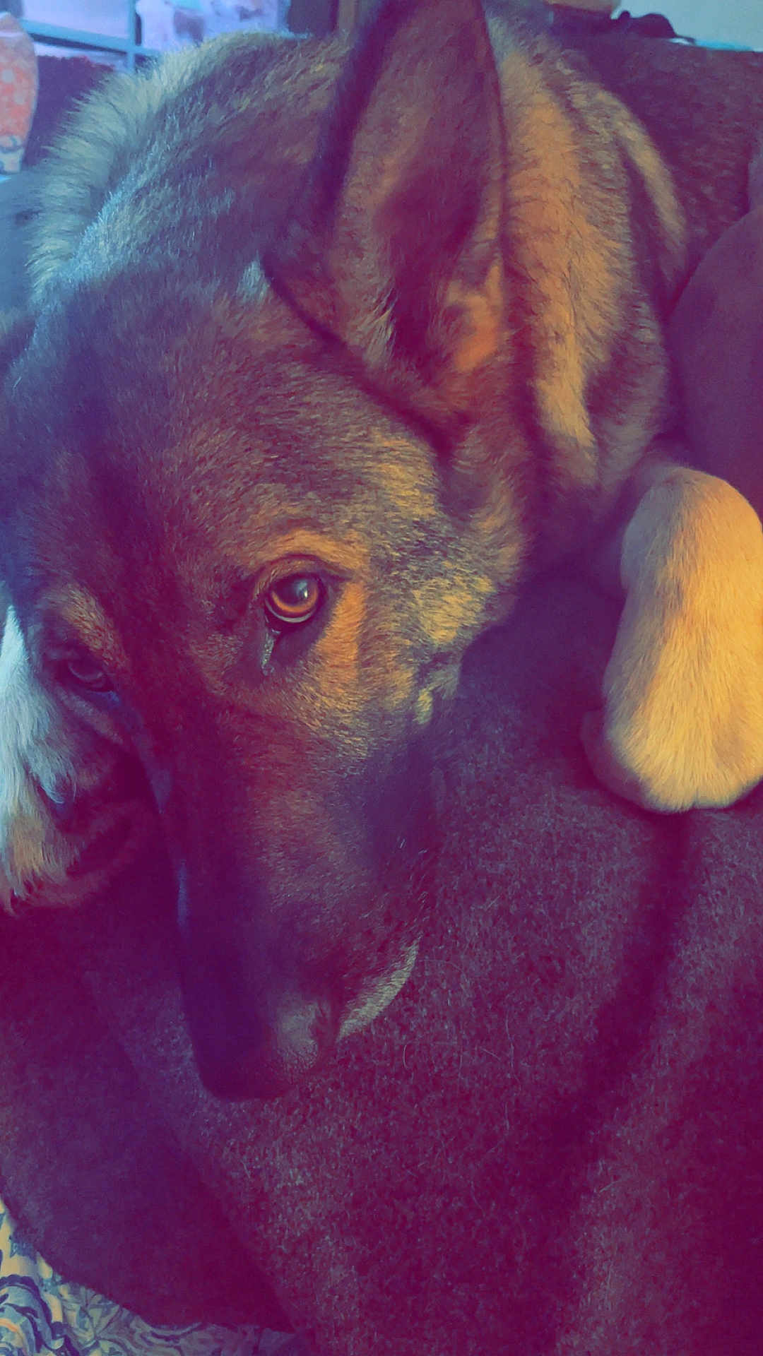 Thor