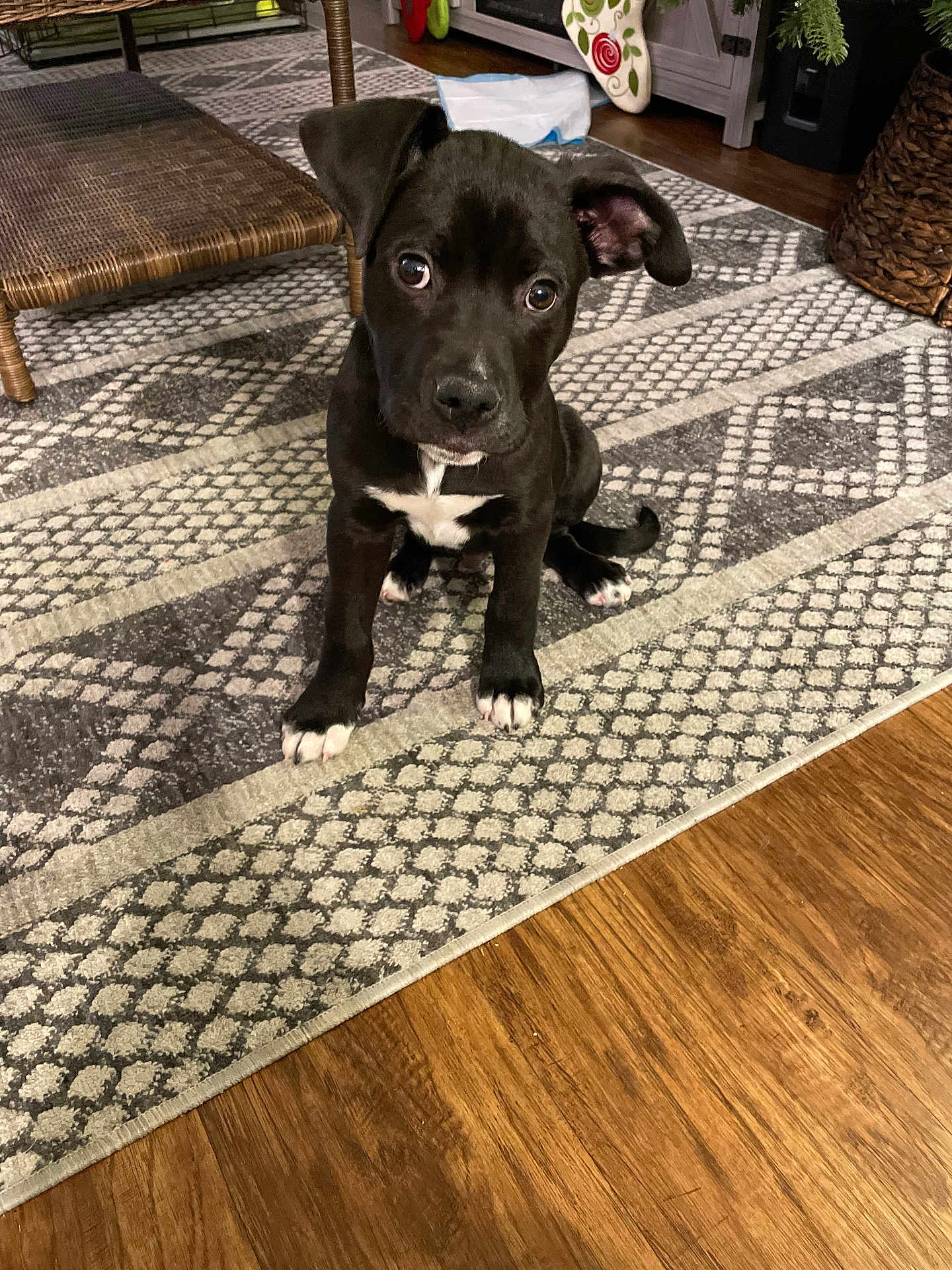 Max
