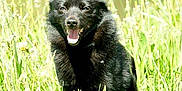 Eston participe au concours pour gagner de l'argent avec cette photo :