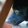 Eston participe au concours pour gagner de l'argent avec cette photo :
