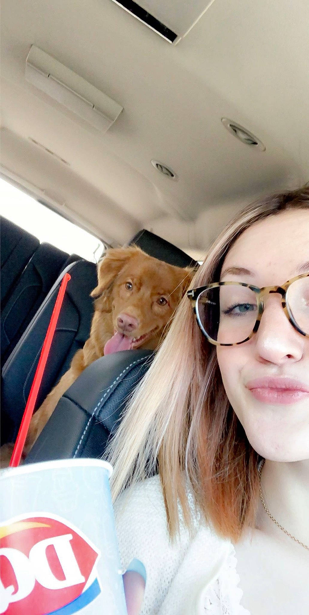 Stormi joined the competition — help win amazing prizes! canidae, car, carnivore, companion_dog, dog, dog_breed, ear, fawn, fun, glasses, mouth, nose, photography, selfie, skin, smile, snout, sporting_group, vehicle