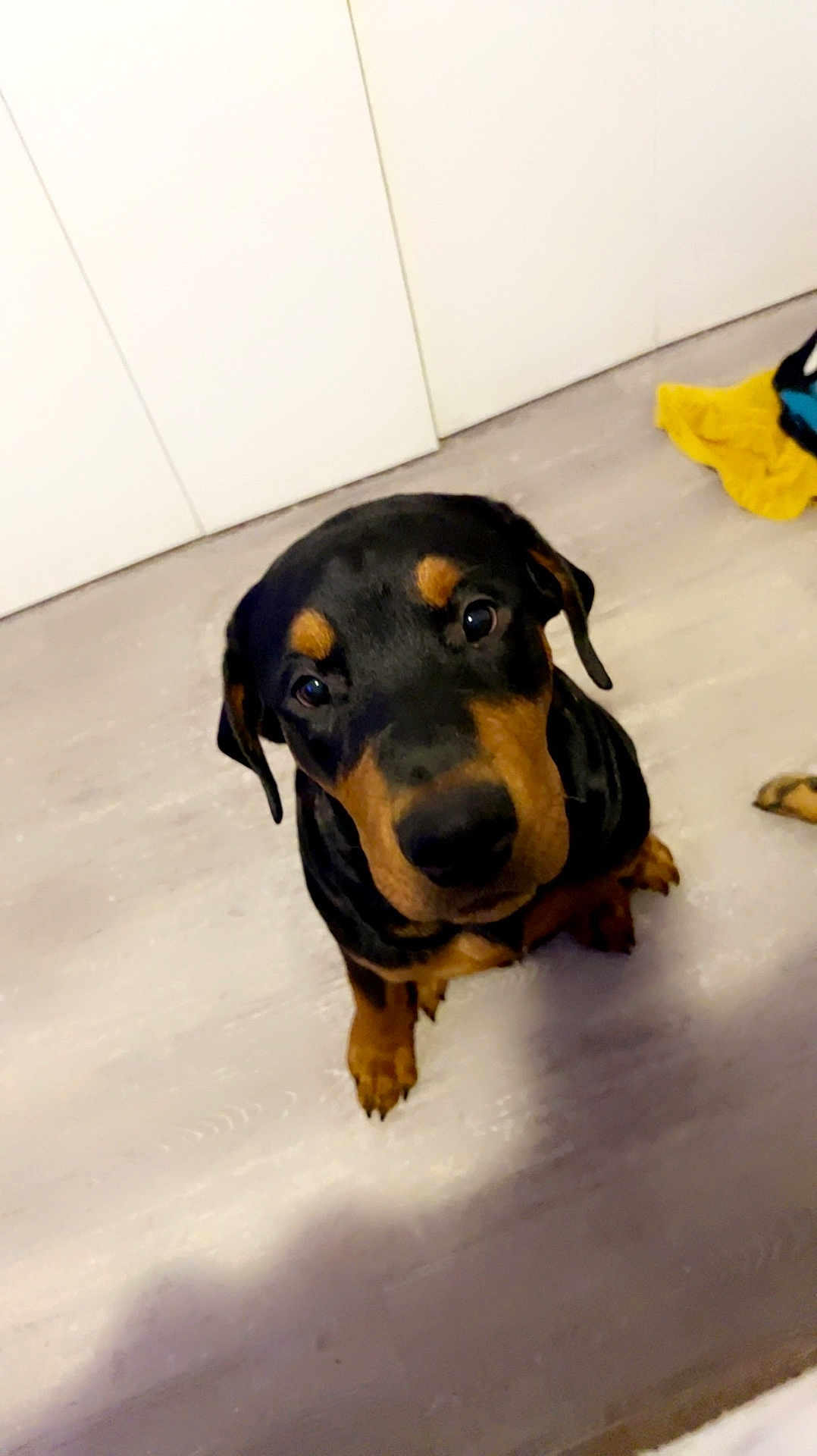 Max