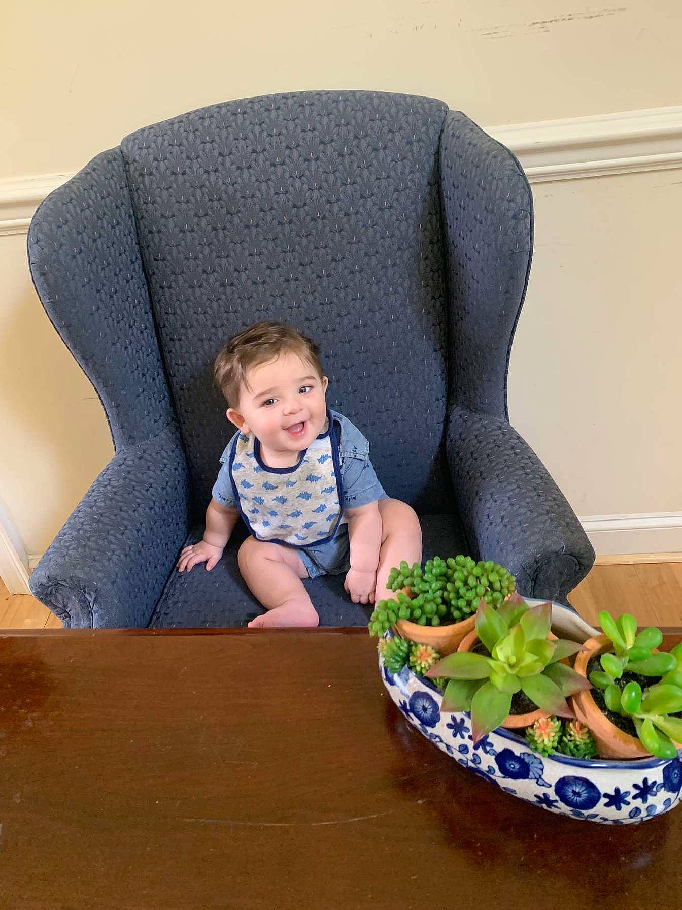 Eliam is registered to the contest to win money with this photo: baby, baby_toddler_clothing, chair, child, comfort, flowerpot, fruit, head, houseplant, joy, leaf_vegetable, person, plant, room, sitting, sleeve, smile, t_shirt, table, terrestrial_plant