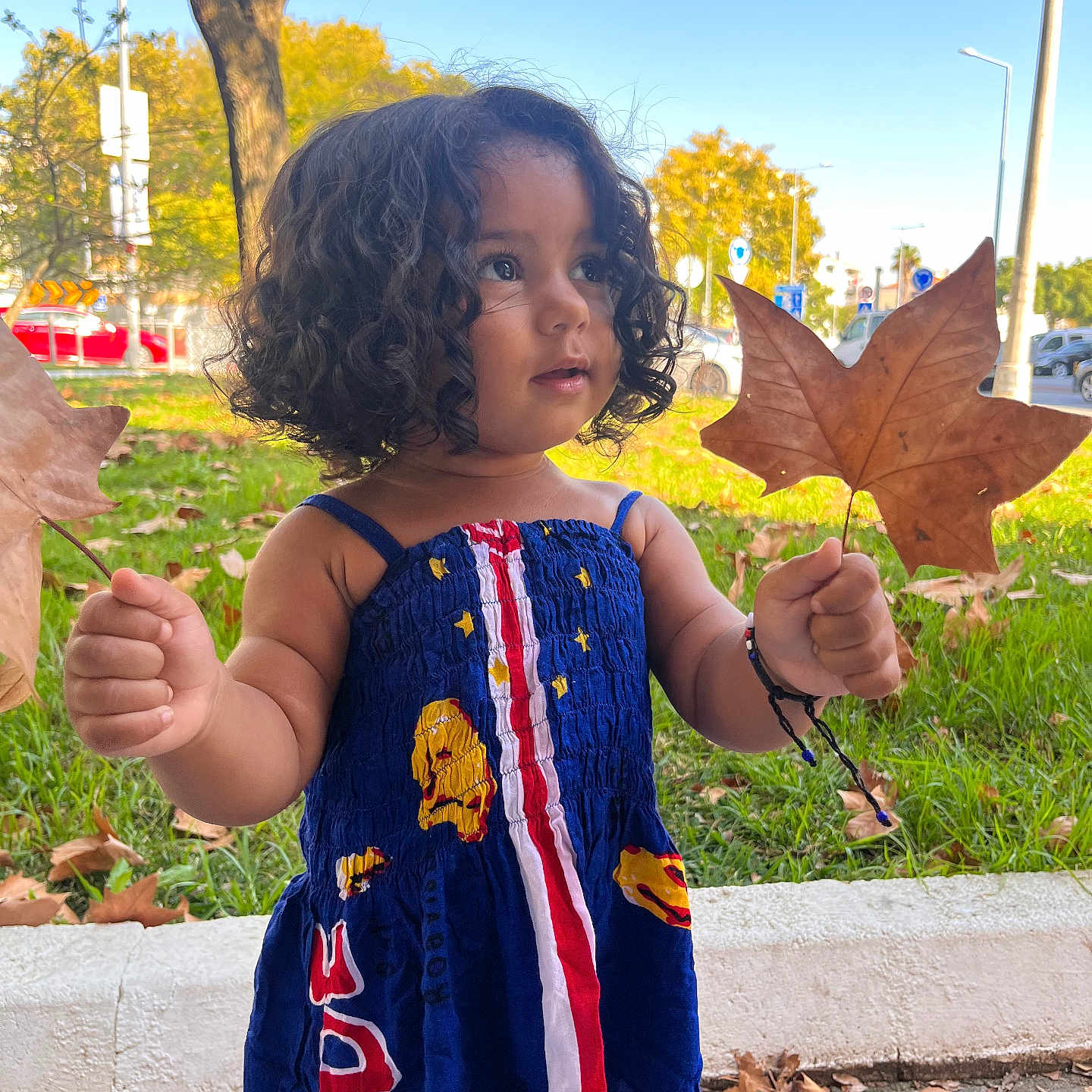 Kyara joined the competition — help win amazing prizes! autumn, blue_sky, child, colorful, curly_hair, cute, daylight, dress, grass, happy, holding, leaves, nature, outdoor, park, person, playful, sidewalk, toddler, tree