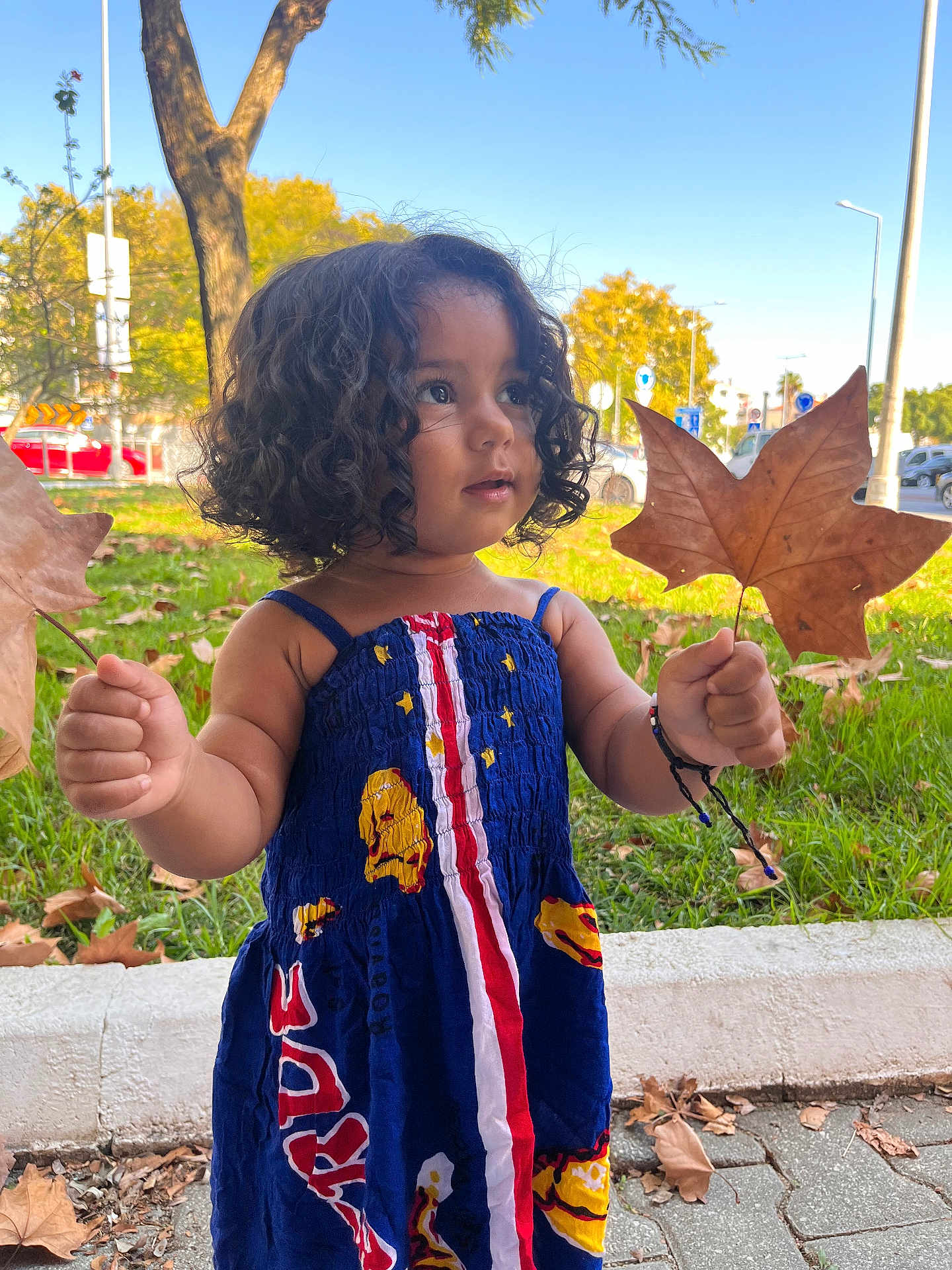 Kyara joined the competition — help win amazing prizes! child, toddler, curly_hair, dress, leaves, autumn, outdoor, park, sidewalk, grass, tree, blue_sky, daylight, playful, nature, holding, person, cute, colorful, happy