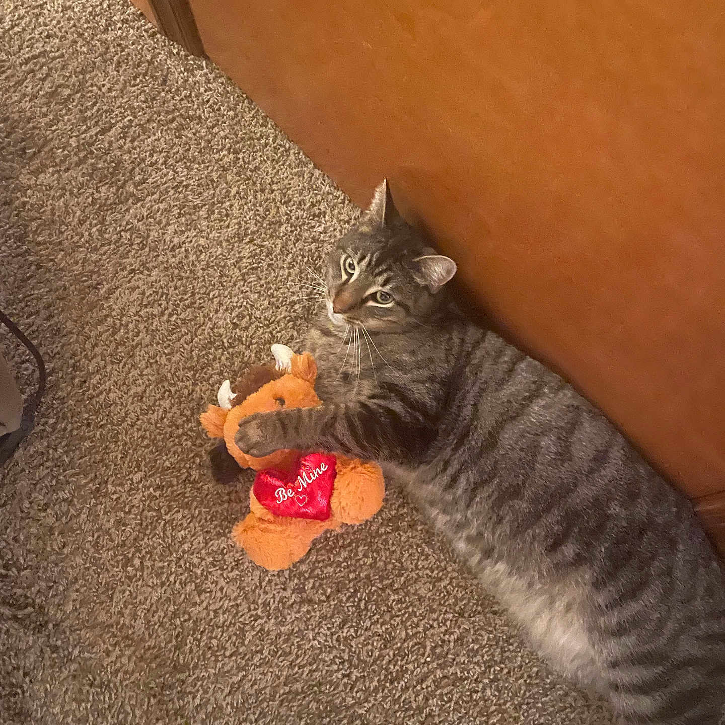 Nemesis joined the competition — help win amazing prizes! animal, brown, carpet, cat, claw, cute, door, feline, floor, gray, heart, indoor, pet, playful, relaxed, striped, stuffed_animal, tabby_cat, toy, valentines