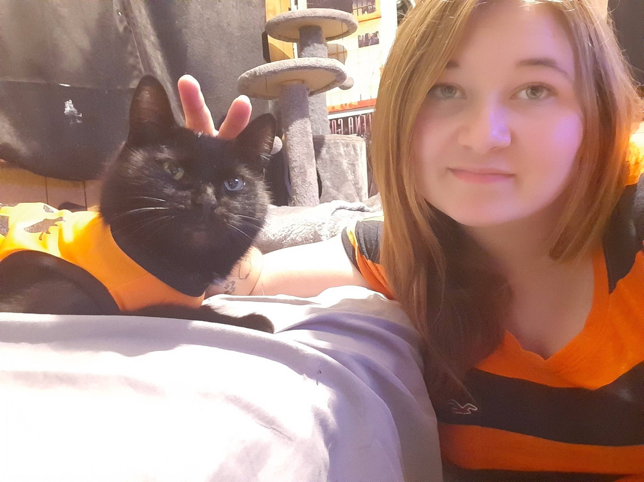 Miss.bear is registered to the contest to win money with this photo: bag, carnivore, cat, comfort, domestic_short_haired_cat, ear, eyewear, fawn, felidae, finger, fur, gesture, happy, lap, long_hair, selfie, sitting, small_to_medium_sized_cats, t_shirt, whiskers