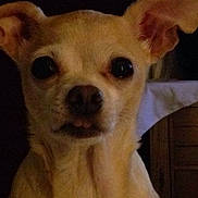 Baby joined the competition — help win amazing prizes!