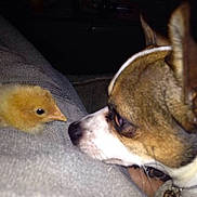 Biff joined the competition — help win amazing prizes!