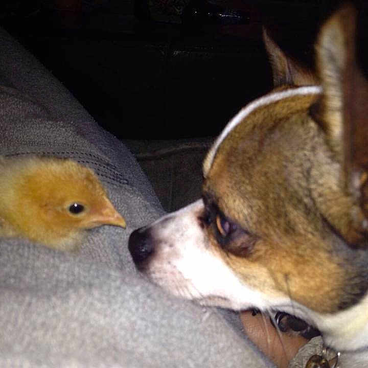 Biff joined the competition — help win amazing prizes!