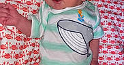 Hunter Gray is registered to the contest to win money with this photo: baby, baby_clothes, child, clothing, cute, fabric, green_stripes, happy, human, infant, joyful, lying_down, onesie, patterned_blanket, portrait, red, small_child, smiling, whale, white