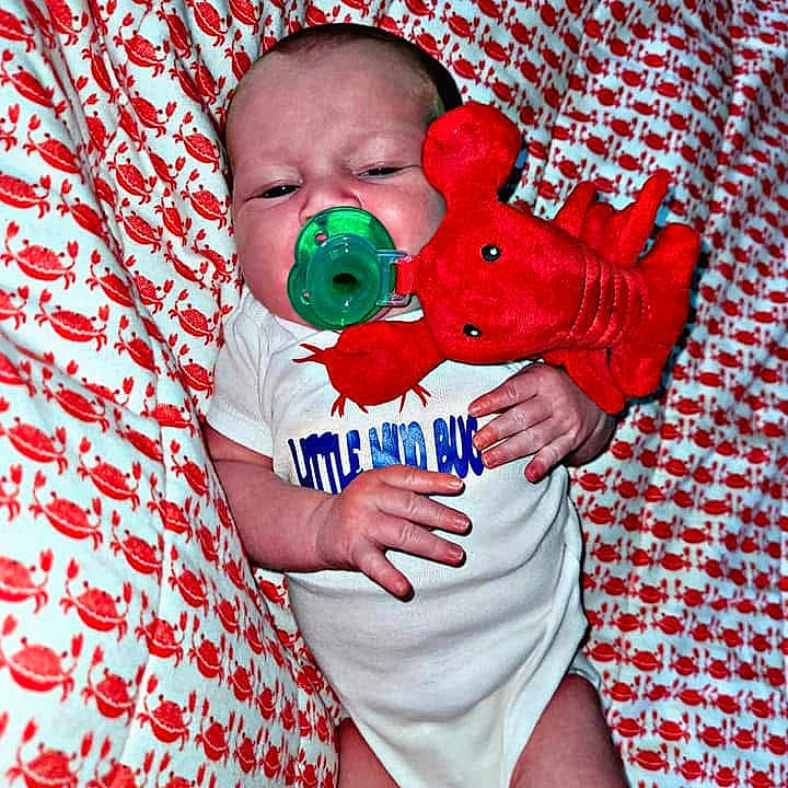Hunter Gray is registered to the contest to win money with this photo: baby, blanket, blue_text, clothing, crab_pattern, cute, expression, face, hand, indoors, infant, lobster, lying_down, newborn, onesie, pacifier, red, soft_toy, stuffed_toy, white