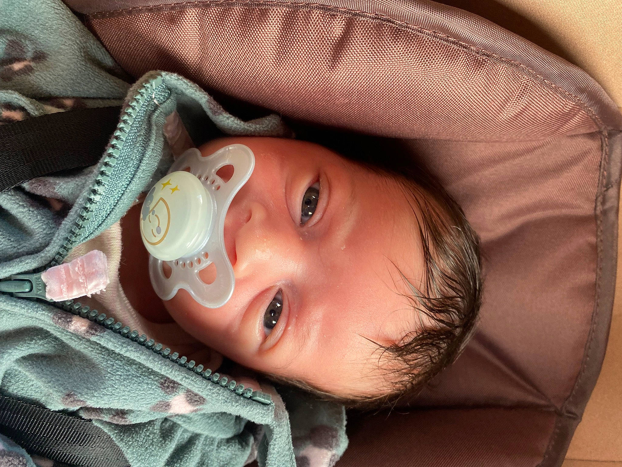 Stella Rose joined the competition — help win amazing prizes! arm, cheek, chin, comfort, ear, eye, eyebrow, eyelash, face, forehead, hairstyle, hand, human_body, iris, lip, mouth, neck, nose, person, skin