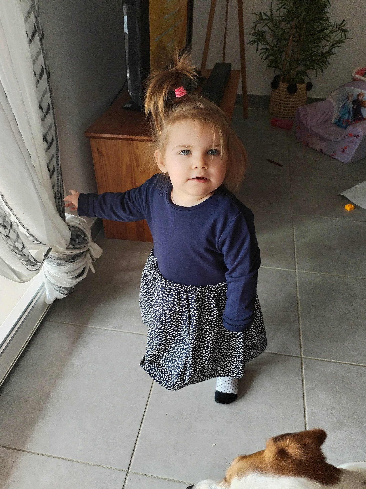 Lina participe au concours pour gagner de l'argent avec cette photo : baby, baby_toddler_clothing, carnivore, child, companion_dog, dog_breed, floor, flooring, flowerpot, fun, fur, houseplant, human_leg, person, plant, room, sitting, snapshot, toddler, whiskers