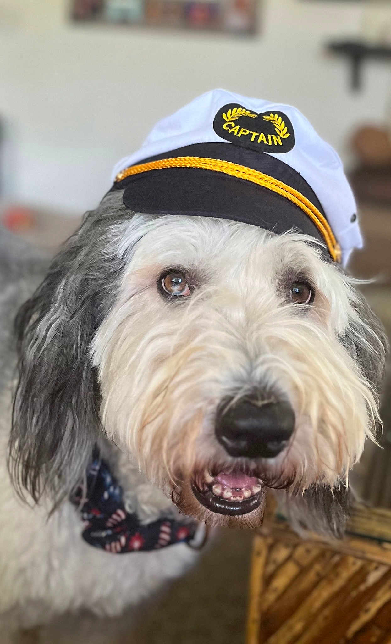 Capt Toby