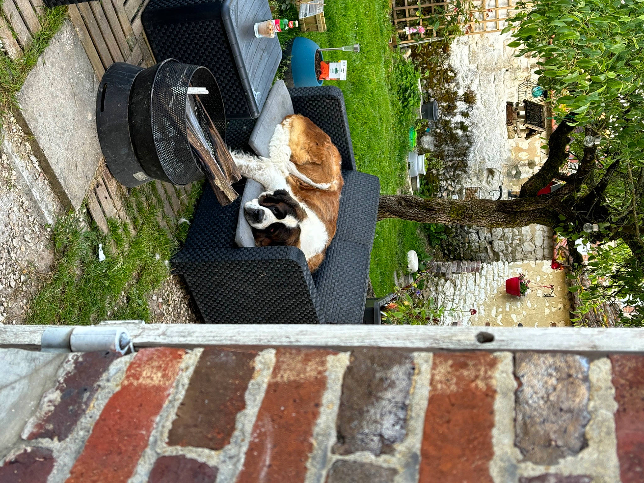 Oupsie a rejoint le concours — aidez-le/la à gagner de superbes lots ! art, asphalt, automotive_exterior, automotive_tire, brick, chair, fender, grass, landscape, motor_vehicle, plant, road_surface, sidewalk, synthetic_rubber, tire, tire_care, tread, tree, wheel, wood