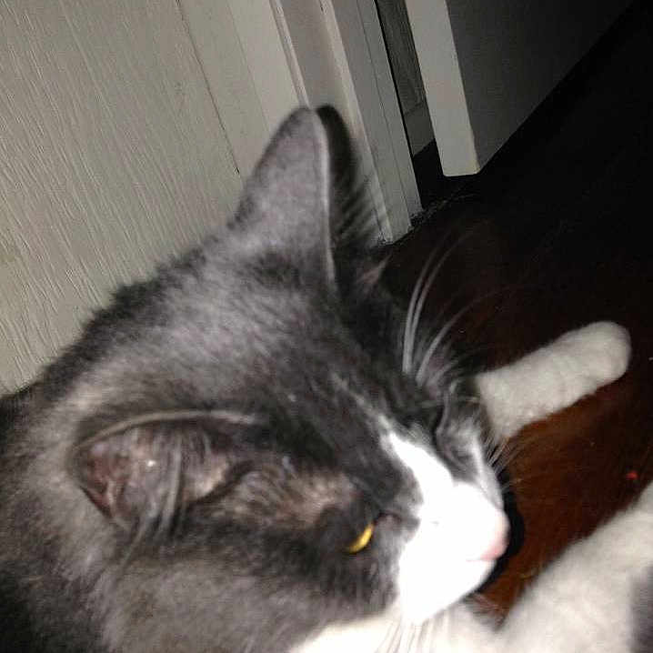 Fitz