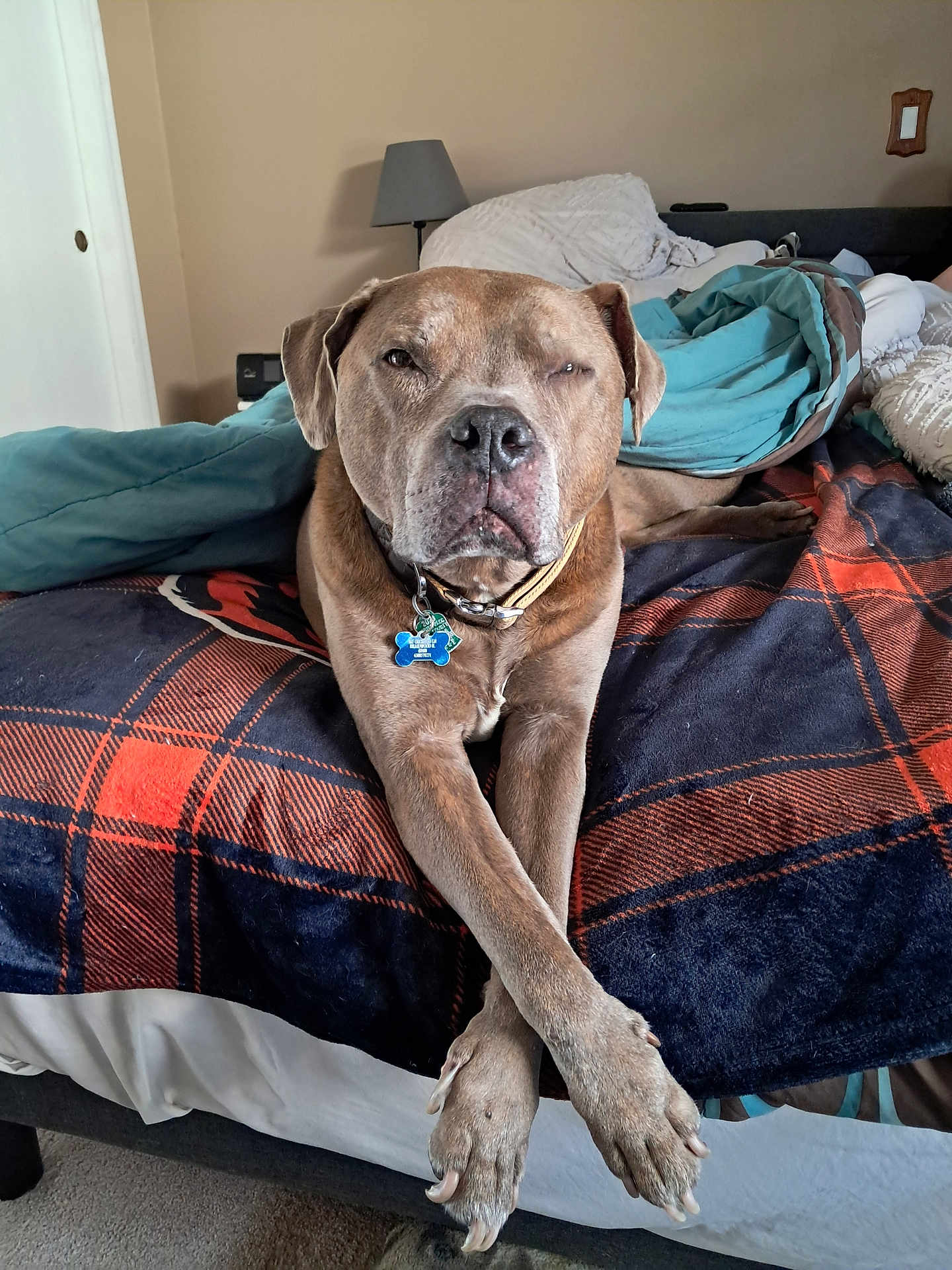 Capone