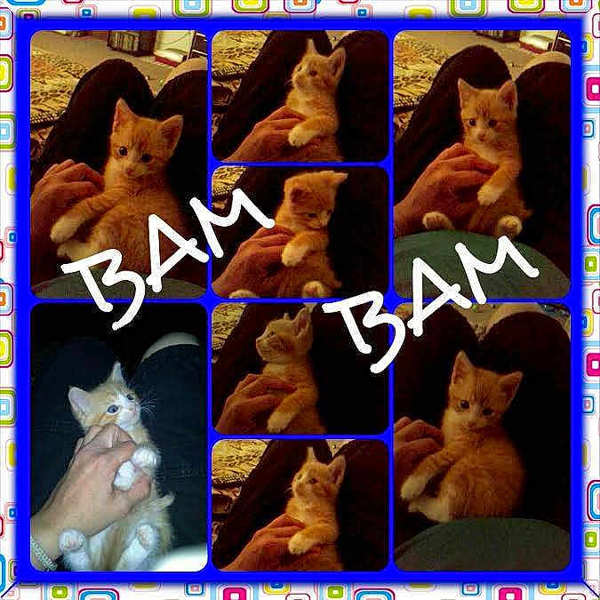 Bambam is registered to the contest to win money with this photo: