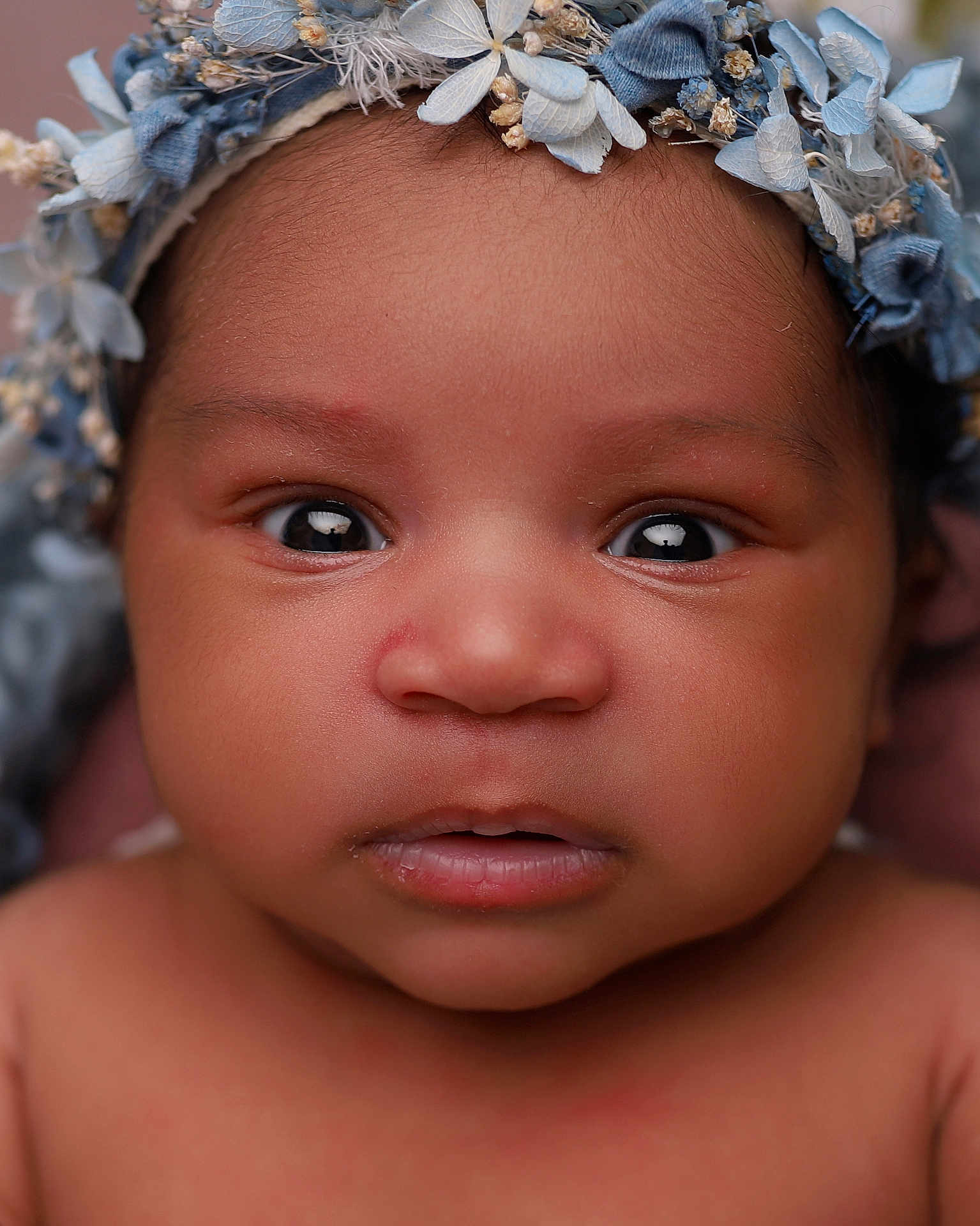 Delilah-Rose is registered to the contest to win money with this photo: baby, infant, face, portrait, closeup, headband, flower_crown, skin, eyes, expression, cute, child, newborn, human, person, soft_light, innocence, curious, young, adorable