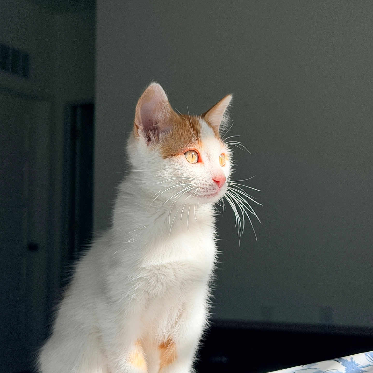 Chloe