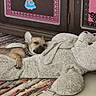 Baho participe au concours pour gagner de l'argent avec cette photo : blanket, collar, couch, cozy, cuddling, cute, dog, home, indoor, pet, plush, portrait, relaxed, resting, sleepy, small_dog, sofa, stuffed_animal, tan_fur, teddy_bear