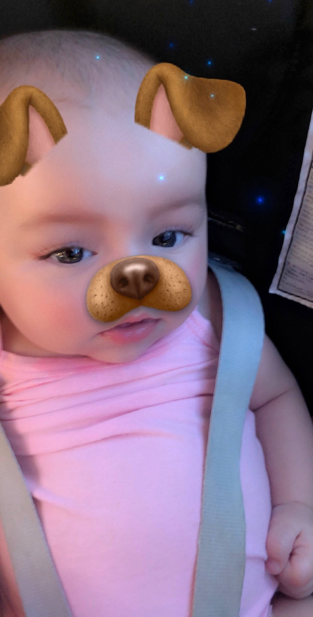Rose participe au concours pour gagner de l'argent avec cette photo : cake_decorating, child, ear, eye, face, fondant, head, infant, mouth, nose, person, pink, skin, smile, snout, stuffed_toy, sugar_paste, textile, toy