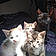 My Babies