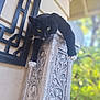 cat, black_cat, tuxedo_cat, animal, pet, pillar, stone, carving, outdoor, nature, greenery, blurred_background, whiskers, paws, resting, feline, window, architecture, close_up, daylight