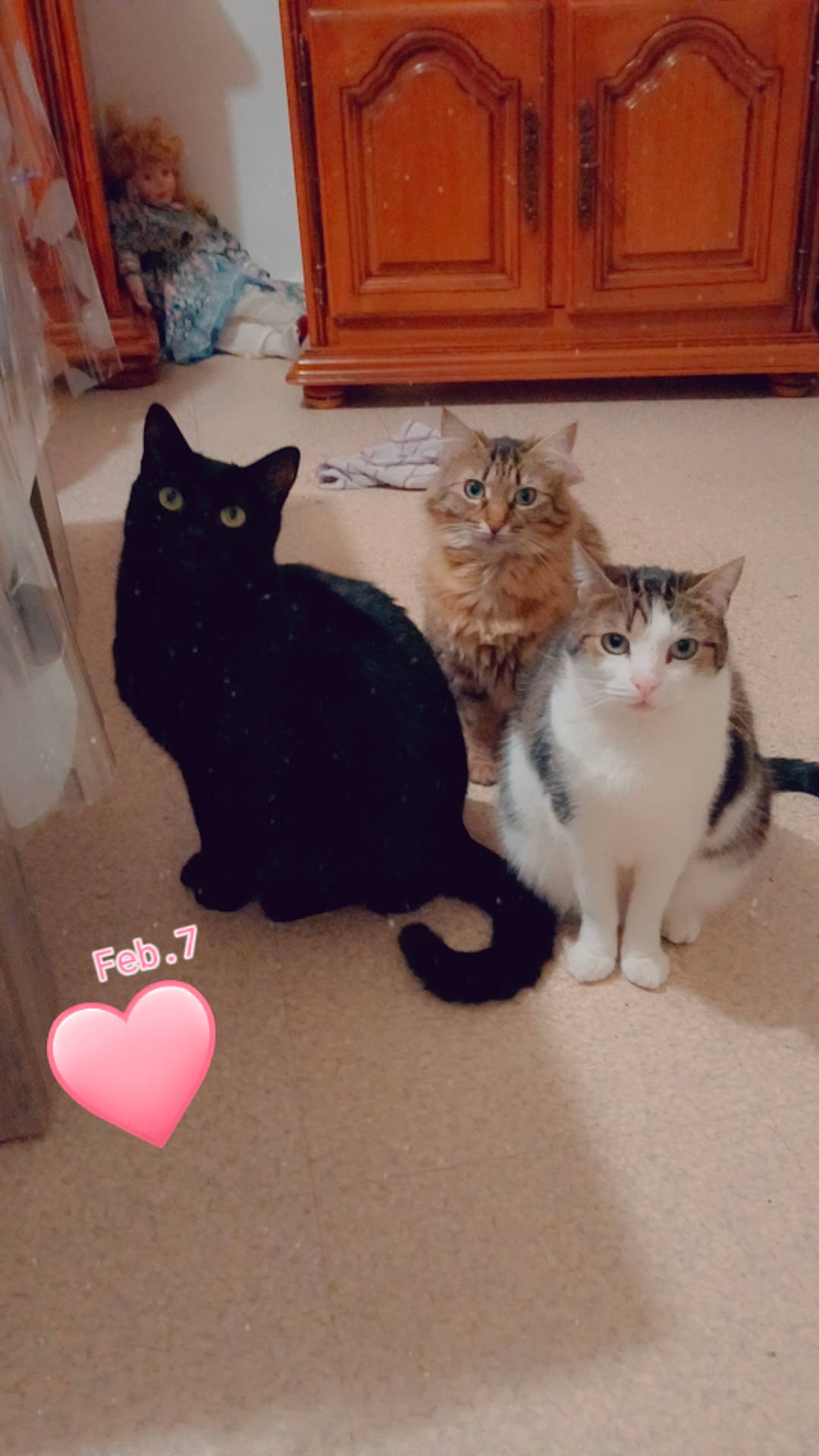 Nala Chipie Et Josephine