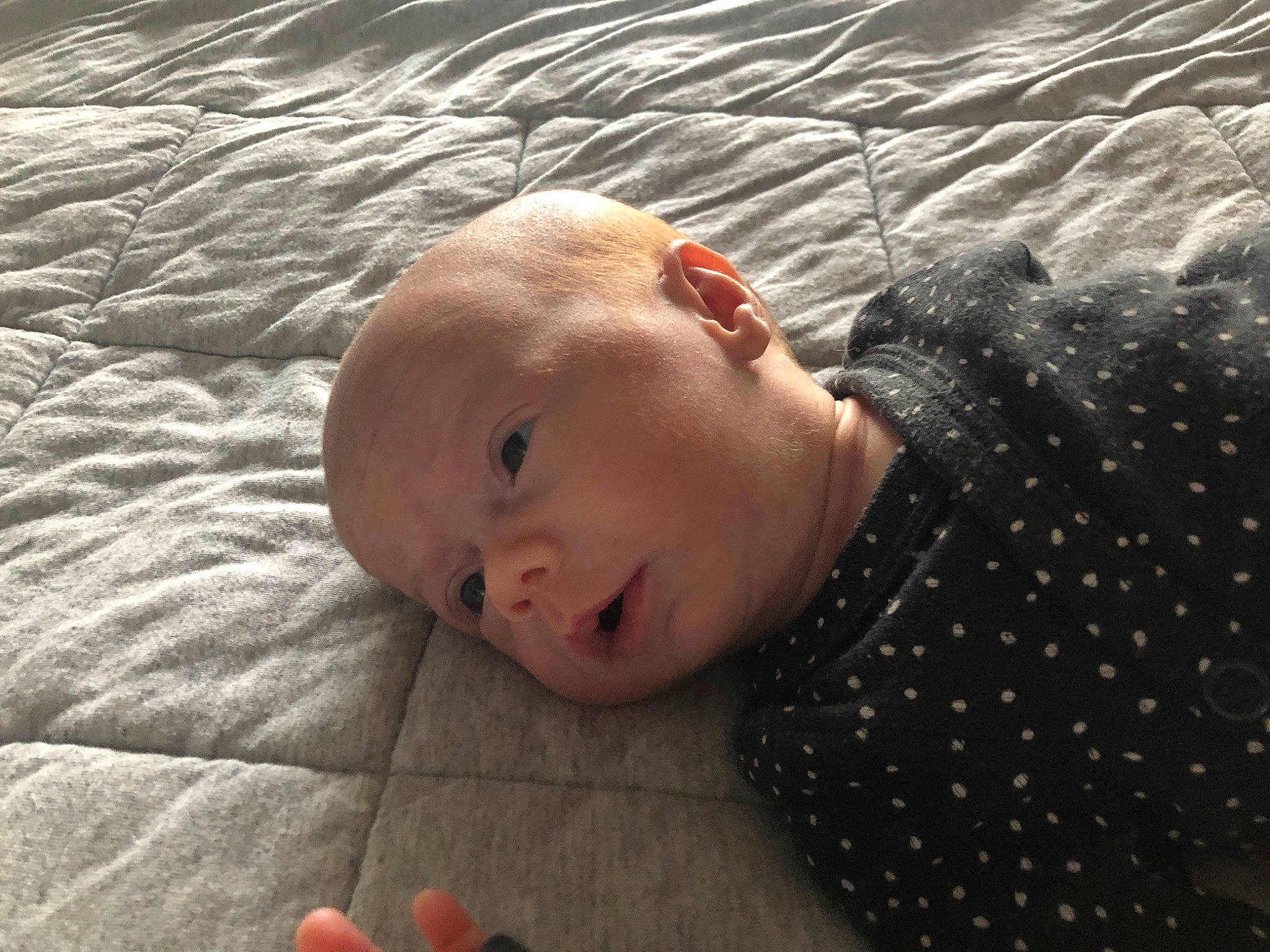 Marilou participe au concours pour gagner de l'argent avec cette photo : baby, child, head, nose, person, skin, toddler