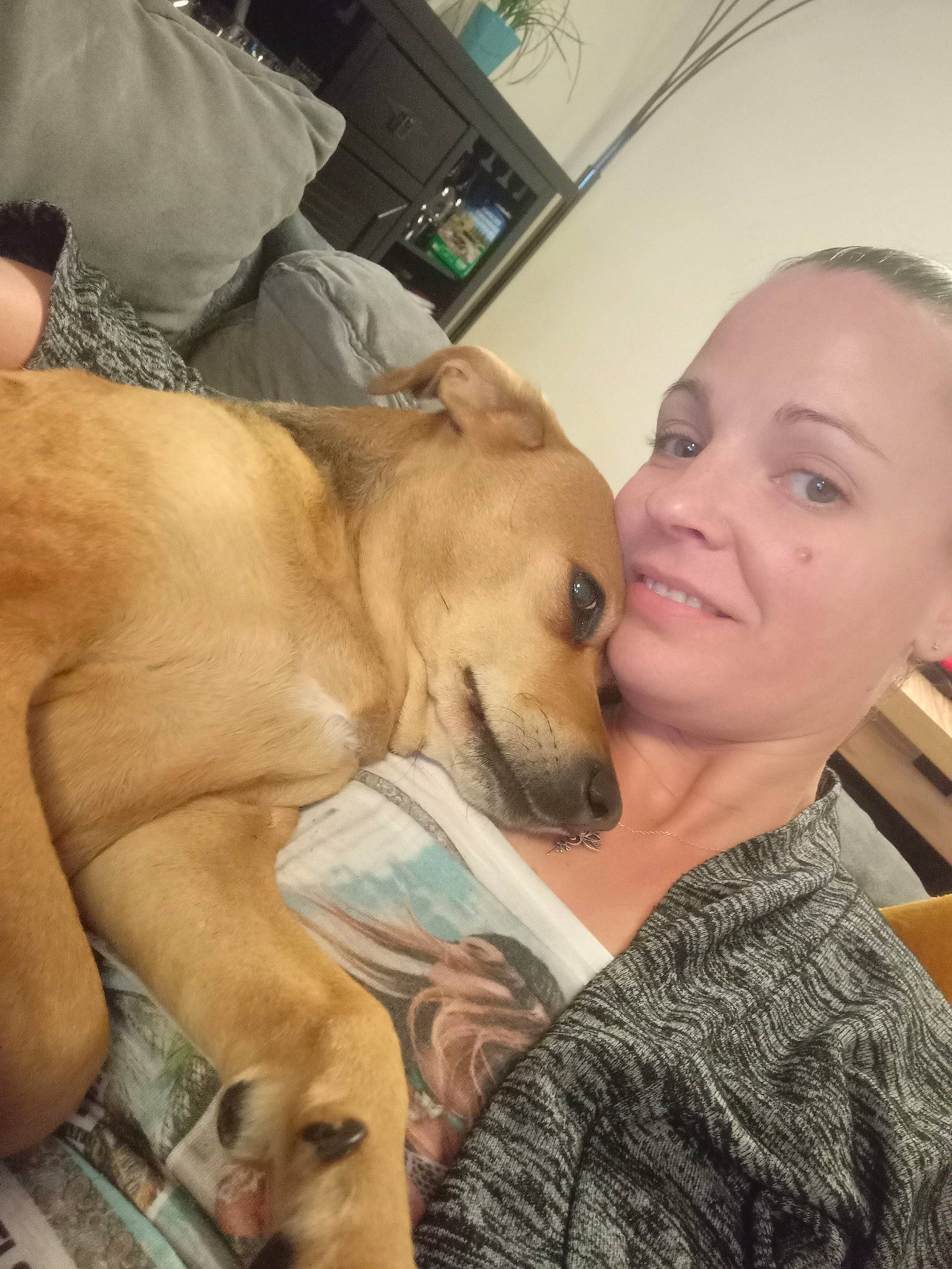 Naya a rejoint le concours — aidez-le/la à gagner de superbes lots ! canidae, carnivore, chair, comfort, companion_dog, dog, dog_breed, ear, fawn, fur, houseplant, nap, plant, puppy, puppy_love, selfie, smile, snout, sporting_group, whiskers