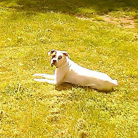 Shadow joined the competition — help win amazing prizes!