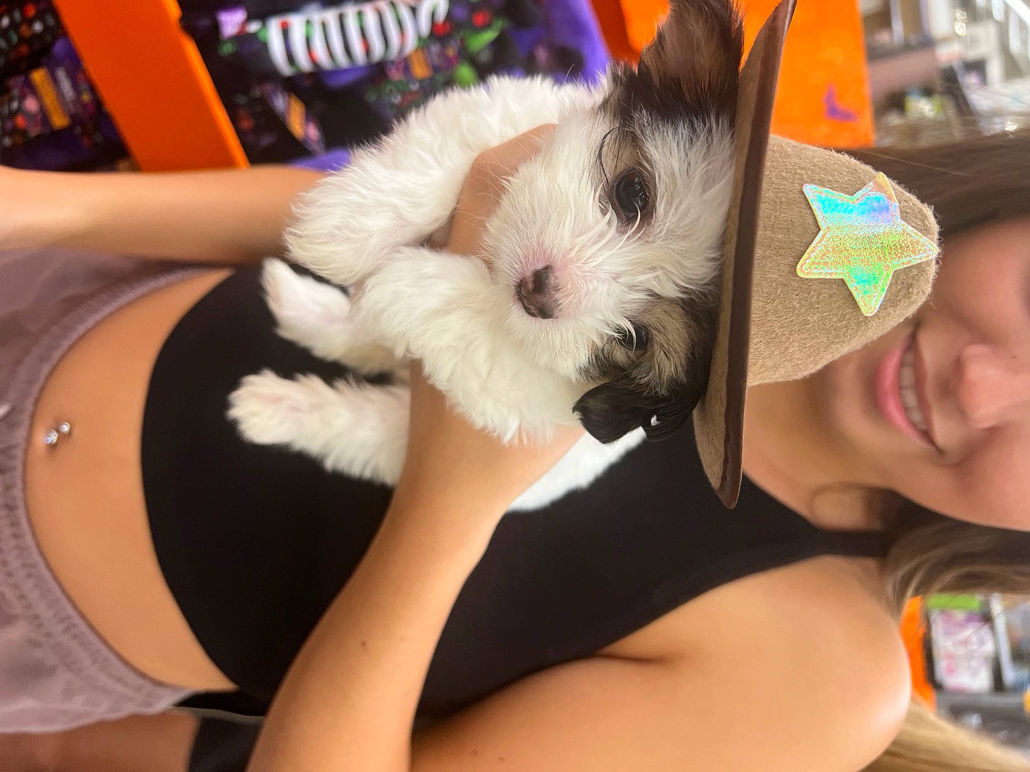 Milo is registered to the contest to win money with this photo: canidae, carnivore, child, companion_dog, dog, dog_breed, dog_clothes, eyewear, fashion_accessory, fawn, finger, fur, happy, party_hat, selfie, small_terrier, stuffed_toy, sunglasses, toy, toy_dog
