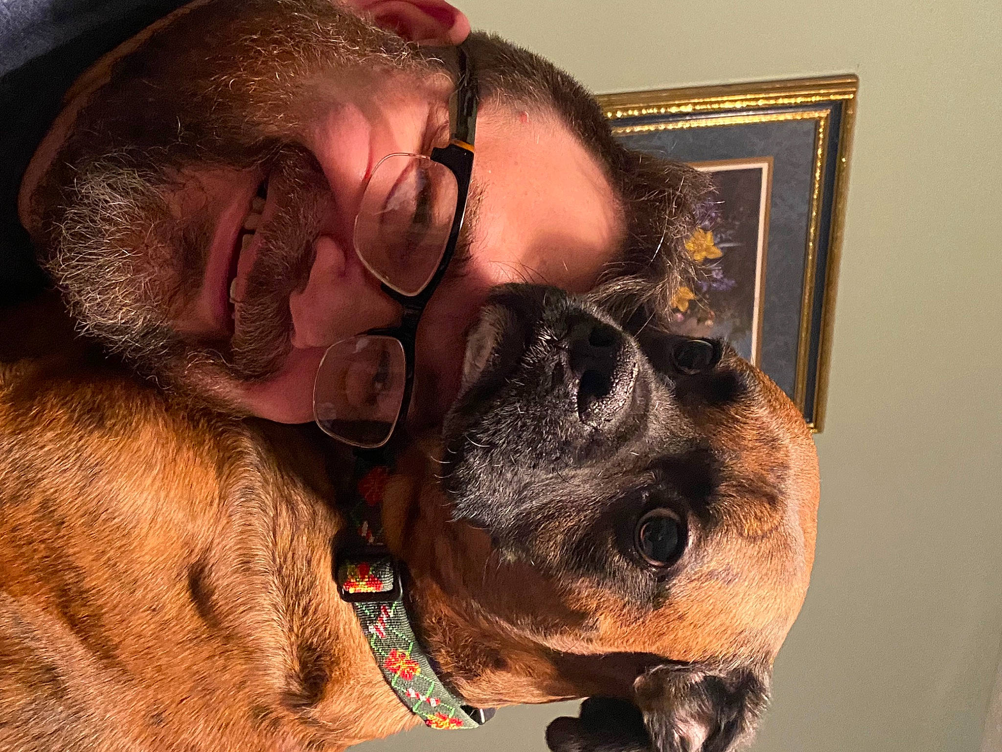 Max is registered to the contest to win money with this photo: beard, carnivore, companion_dog, dog, dog_breed, ear, eyewear, facial_hair, fawn, glasses, jaw, mouth, neck, nose, selfie, skin, snout, sunglasses, vision_care, working_animal
