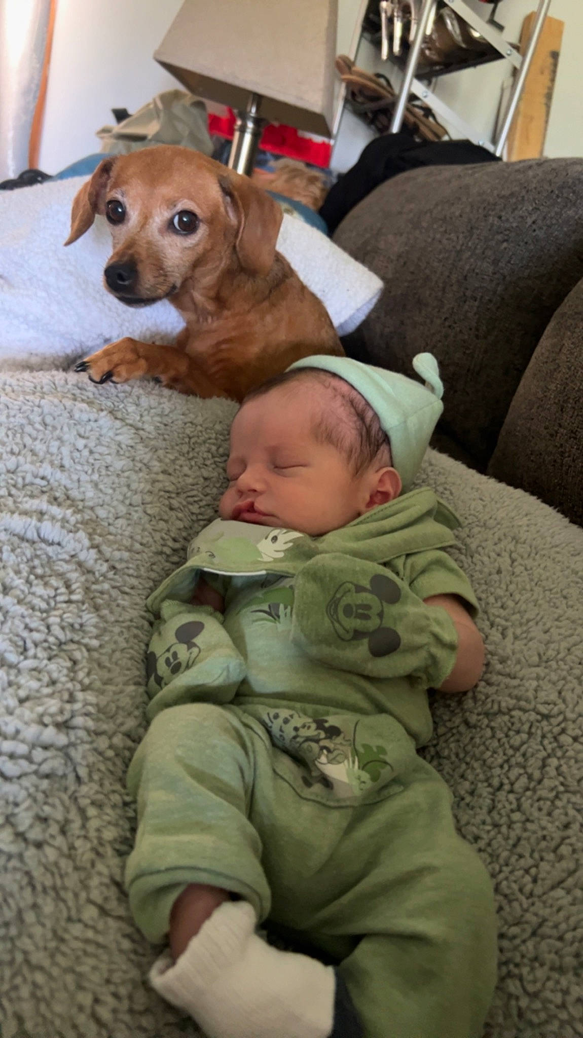 Jorge joined the competition — help win amazing prizes! baby, baby_toddler_clothing, camouflage, carnivore, child, comfort, companion_dog, dog, dog_breed, flooring, lap, linens, military_camouflage, person, sitting, sleep, sleeve, toddler