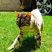 Hours participe au concours pour gagner de l'argent avec cette photo :