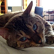 Hours a rejoint le concours — aidez-le/la à gagner de superbes lots !