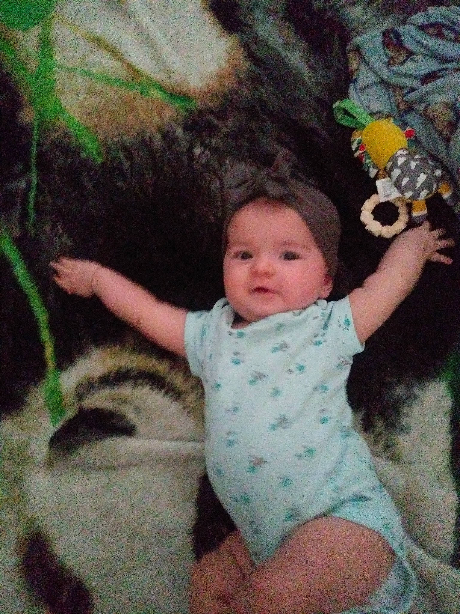 Stella is registered to the contest to win money with this photo: baby, child, eye, green, person, play, skin, toddler