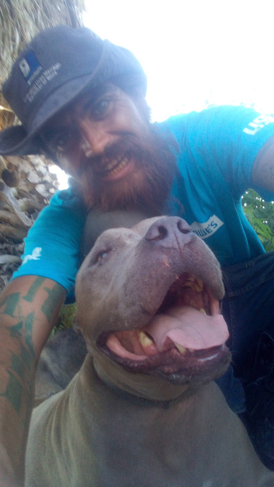 Tortanic joined the competition — help win amazing prizes! baseball_cap, beard, cap, carnivore, companion_dog, cool, dog, dog_breed, eyewear, fawn, fun, happy, hat, jaw, selfie, shorts, smile, snout, vertebrate, working_animal