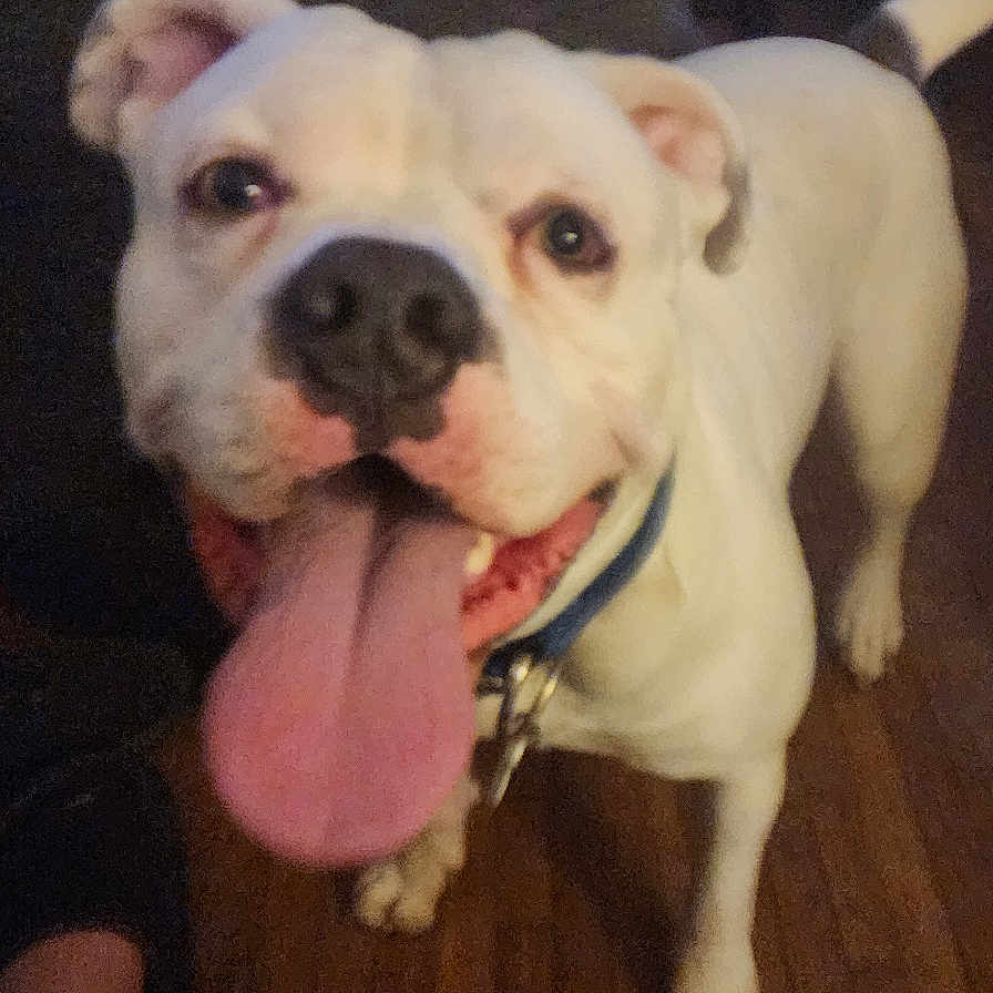 Max