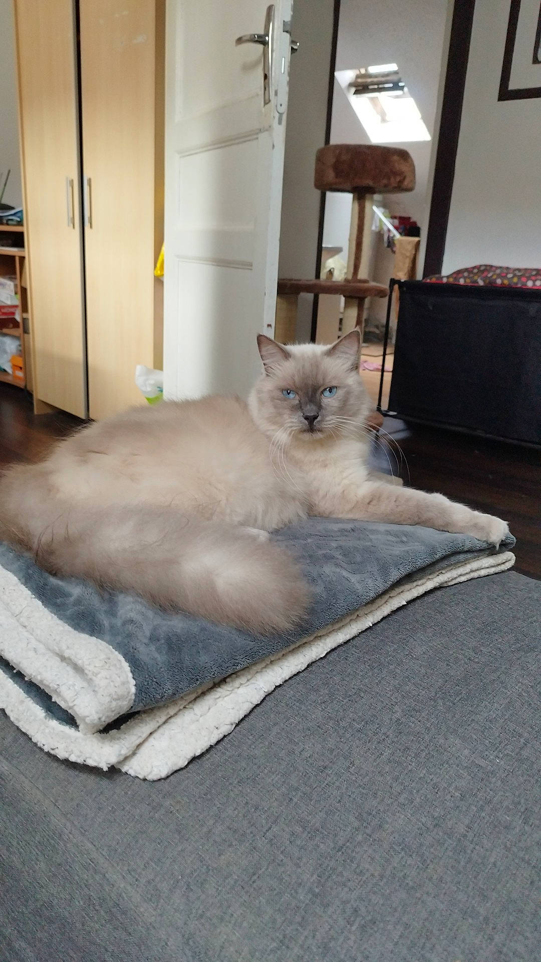 Prince