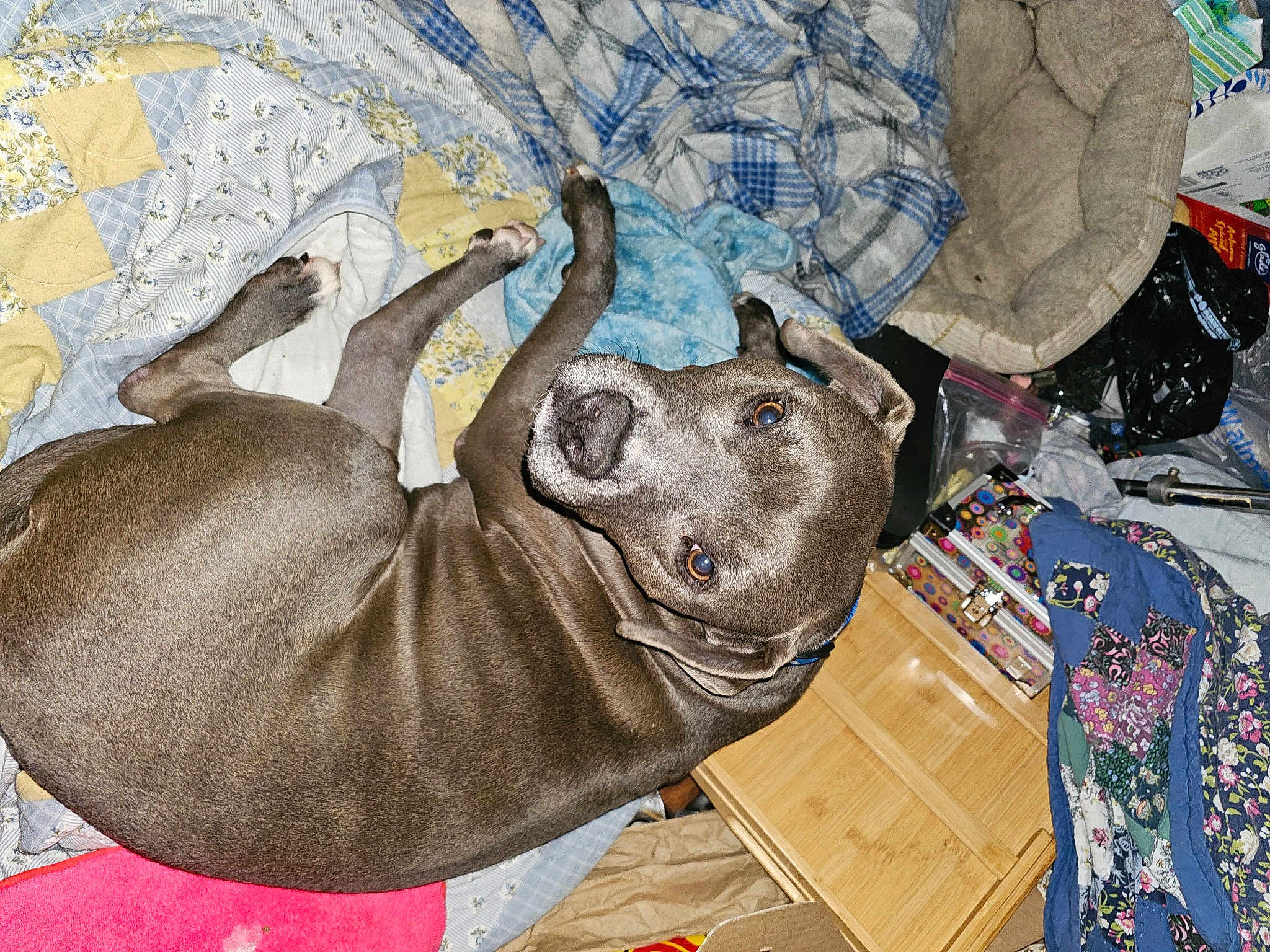 Lionel Richey Johnson